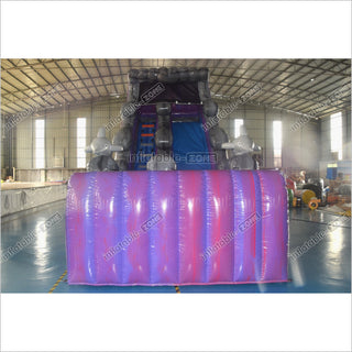 Purple Wave Single Lane Inflatable Waterslide Commercial Event Small Inflatable Dolphin Water Slide Pool