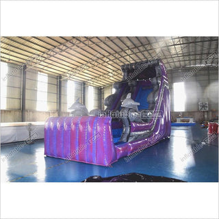 Purple Wave Single Lane Inflatable Waterslide Commercial Event Small Inflatable Dolphin Water Slide Pool