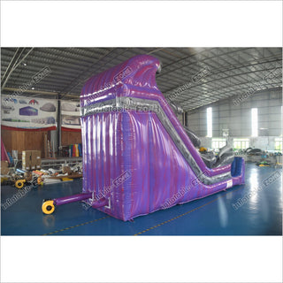 Purple Wave Single Lane Inflatable Waterslide Commercial Event Small Inflatable Dolphin Water Slide Pool