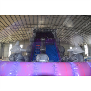 Purple Wave Single Lane Inflatable Waterslide Commercial Event Small Inflatable Dolphin Water Slide Pool