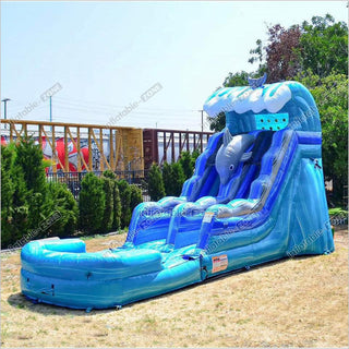 Commercial Dolphin Water Slide For Kids, Water Park Slide