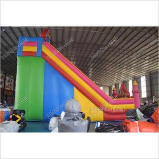 Colorful Double Slide Inflatable Bouncer Blow Up Jumper Crazy Ferris Wheel Inflatable Bouncy Castle Slide