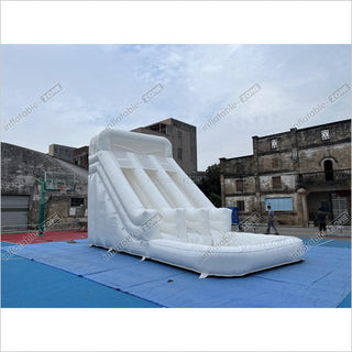 White Wild Inflatable Slide White Inflatable Water Slide White Water Bounce House Jumping