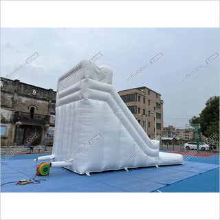 White Wild Inflatable Slide White Inflatable Water Slide White Water Bounce House Jumping