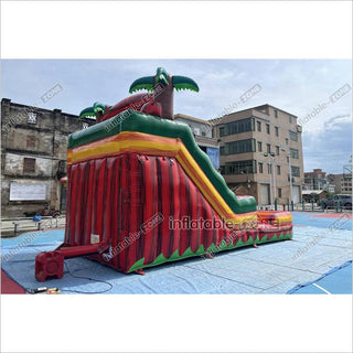 Tropical Dual Lane Water Slide Inflatable Play Center Adult Blow Up Waterslide Inflatable Pool Playground